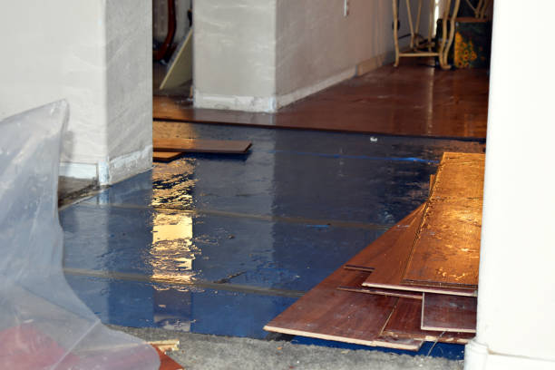Professional Flood Damage Restoration technician working in Monitor, WA